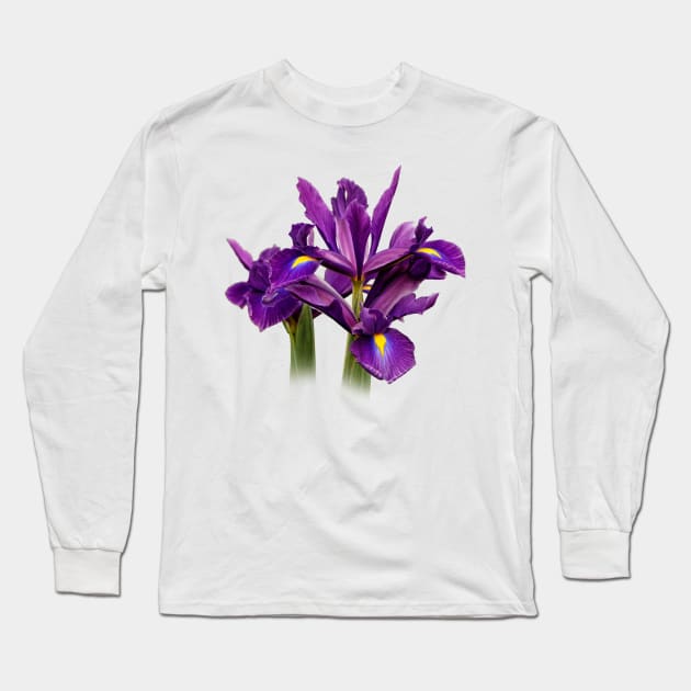 Elegant Dutch Iris Purple Sensation Long Sleeve T-Shirt by walkswithnature